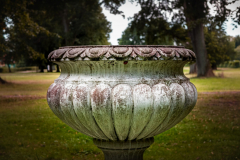 20200809-P1100638-scaled